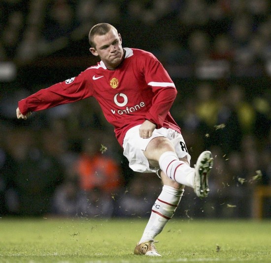 进一步表明 进一步表明